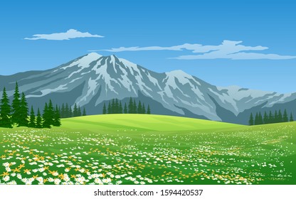 Mountain landscape with colorful flower and meadow 