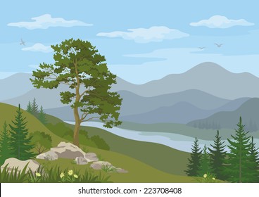 Mountain landscape with coniferous trees, river, flowers and blue cloudy sky. Vector