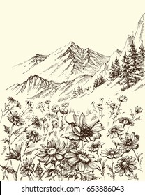 Mountain Landscape, Flowers Border Sketch