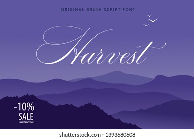 Mountain landscape with fog and forest. Sunrise and sunset in mountains. Vector background with copy space