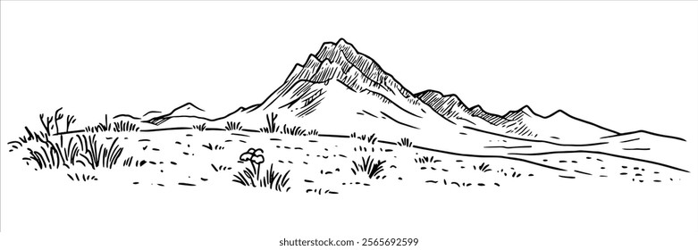 mountain landscape with grass and arid plains illustration