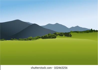 Mountain landscape with green field