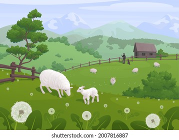 Mountain landscape with sheep on a green pasture, dandelions and a shepherd's hut