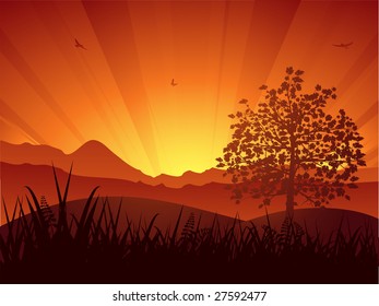 mountain landscape with sun setting behind mountains and tree