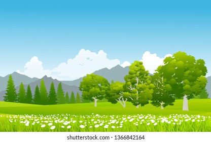 mountain landscape with trees and green grass
