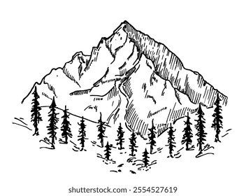 Mountain landscape with trees. Outdoor and hiking concept. Hand drawing mountain panorama. Sketch Vector illustration.