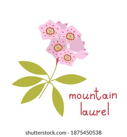 Mountain Laurel Vector Flower Isolated Illustration