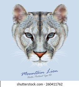 Mountain Lion Drawing Images Stock Photos Vectors Shutterstock