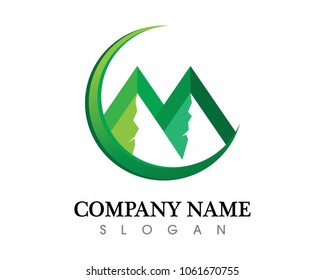Mountain Logo Business Template Vector