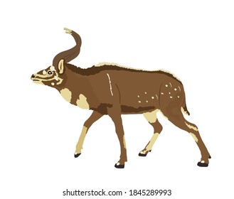Mountain Nyala Vektorgrafik einzeln auf weißem Hintergrund. Tragelaphus buxtoni. Safari-Tier. Schöne Hirschantelope.