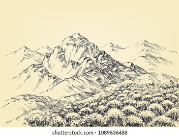 Mountain panorama and a beautiful alpine meadow