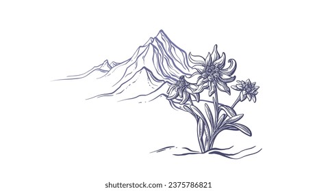 Mountain peaks, sketch. Vector illustration in engraving style. 
Hand drawn background. Graphic landscape. Extreme sport, hiking, rock climbing