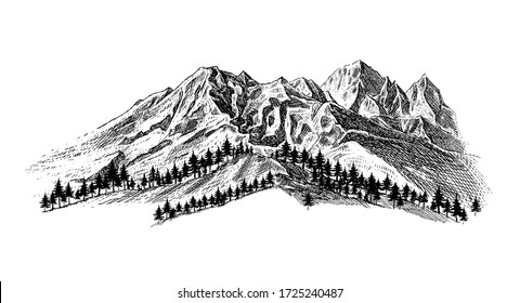 Mountain with pine trees and landscape black on white background. Hand drawn rocky peaks in sketch style. Vector illustration. 