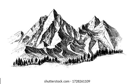 Mountain with pine trees and landscape black on white background. Hand drawn rocky peaks in sketch style. Vector illustration. 