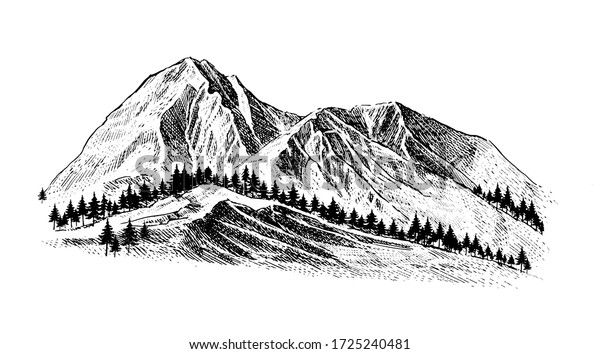 Mountain Pine Trees Landscape Black On Stock Vector (Royalty Free ...