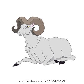 mountain ram lying, vector. White background