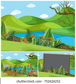 Escenas de montaña con muchas ilustraciones animales