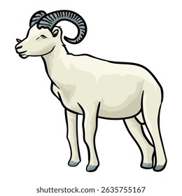 mountain sheep on white background separately