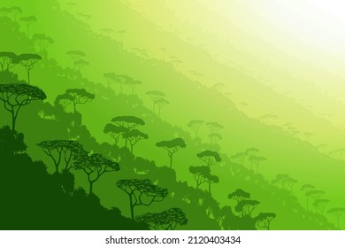Berghang mit tropischem Wald bedeckt, Morgenhaze