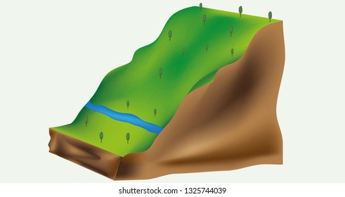 Mountain slope tree