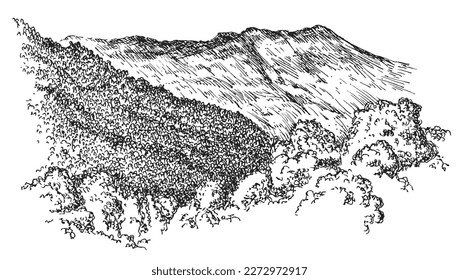 Paisaje de piedra de montaña con bosque de árboles en forma de boceto dibujado a mano. Composición de la naturaleza monocromática de época aislada sobre fondo blanco. Ilustración retrospectiva de escala de grises vectorial.