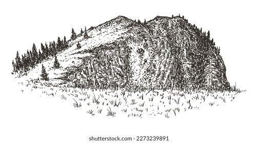 Mountain stone landscape with tree forest in hand drawn sketch style. Vintage monochrome nature composition isolated on white background. Vector grayscale retro illustration.