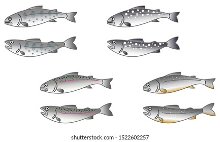 Mountain stream fish illustration 4 kinds 2 pose set