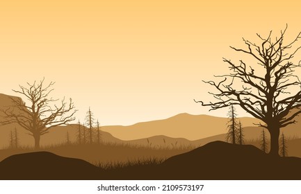 Mountain view with the dense of dry trees in the afternoon
