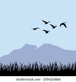 mountain and wild birds