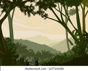 Mountainous jungle with trees and vegetation