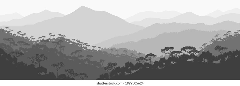 Mountains covered with tropical forest, black and white landscape, panoramic view