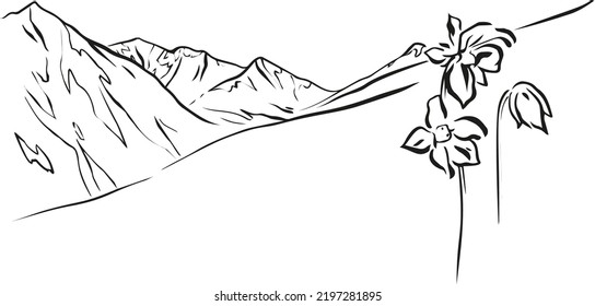 mountains, flowers vector illustration art.