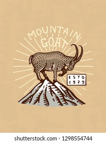 Mountains goat logo. Camping label. Trip in the forest, outdoor and adventure and pine trees. Colored badge on the chalkboard. Hand drawn vintage pin.