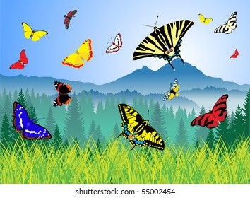 mountains meadow with butterflies