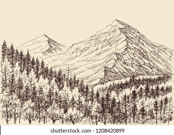 Mountains panorama, alpine forest drawing