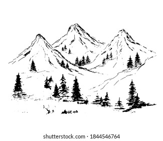 Mountains and pine trees   black landscape white background  Hand sketch in pencil  Rocky peaks in graphic style 
