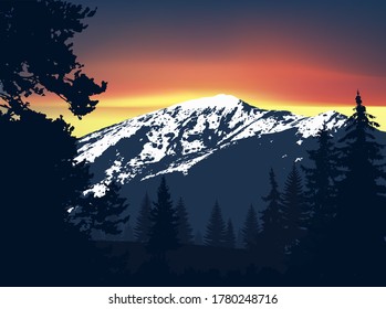 Mountains with snow and coniferous trees on the background of colorful sky. 