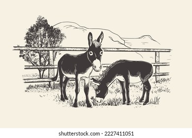 Mountains, tree, fence and two donkeys grazing on the grass.  Hand drawn realistic vector illustration. Engraving style.