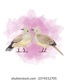 Mourning Dove Bird Valentines Day Animal Symbol of Love Postcard Watercolor Vector Illustration