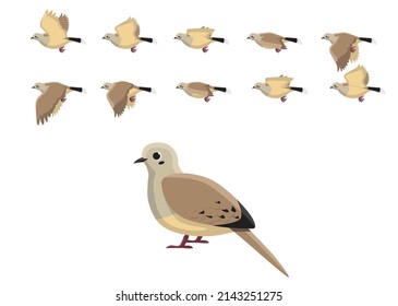 Mourning Dove Flying Motion Animation Sequence Cartoon Vector Illustration