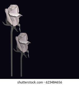 Mourning roses on black background, vector illustration