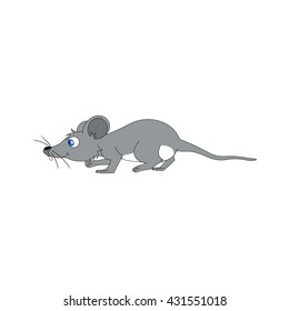 mouse