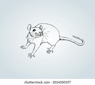 Maus für abstrakte Illustration und Silhouette