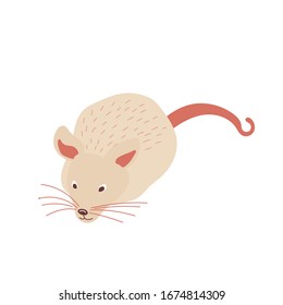 Animales de ratón. El personaje.Rodent. Ilustración vectorial.