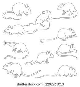 Mouse of animal isolated outline set icon. Vector illustration mouse of animal on white background.Vector outline set icon rodent.