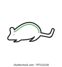 Mouse, animal, rat