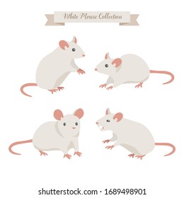 Mouse animal, rat, vector illustration