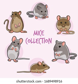 Mouse animal, rat, vector illustration