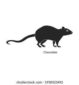 Mouse animal vector black icon. Vector illustration rat on white background. Isolated black illustration icon of mouse and rat.