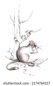 Mouse by the tree. Little Rodent Hand Drawing Watercolor and Ink Vector illustration. Mice vintage picture or card. Chinese Zodiac Sign Year of Rat.
